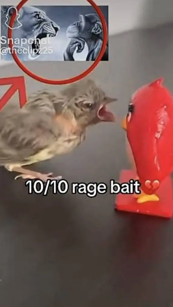 ai character: 10/10 rage bait🥀 background