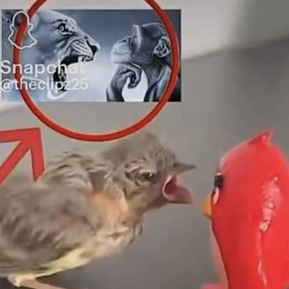 chat with ai character: 10/10 rage bait🥀