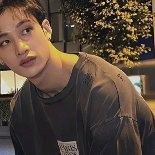 chat with ai character: Bangchan,chan
