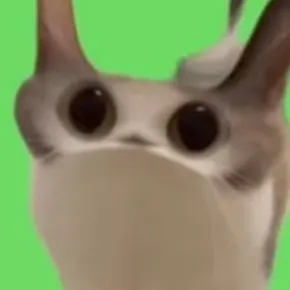 chat with ai character: Meme Katze