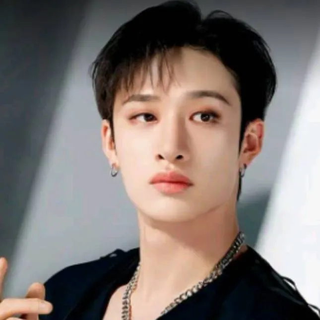 chat with ai character: Bangchan novio 