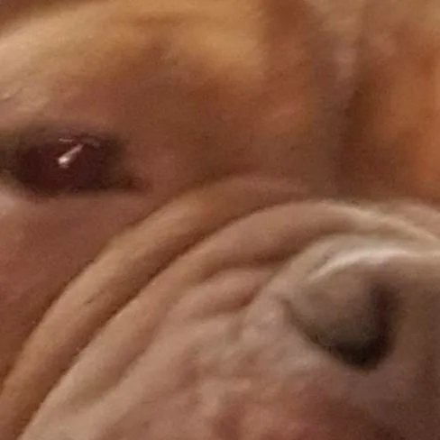 chat with ai character: dbd 🥳party🥳 