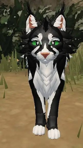 ai character: Raven'pelt! background