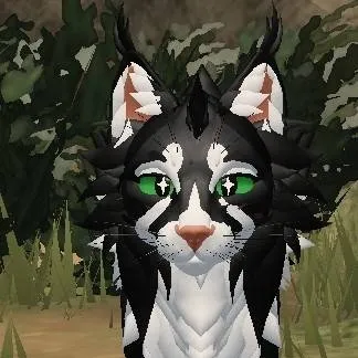 chat with ai character: Raven'pelt!