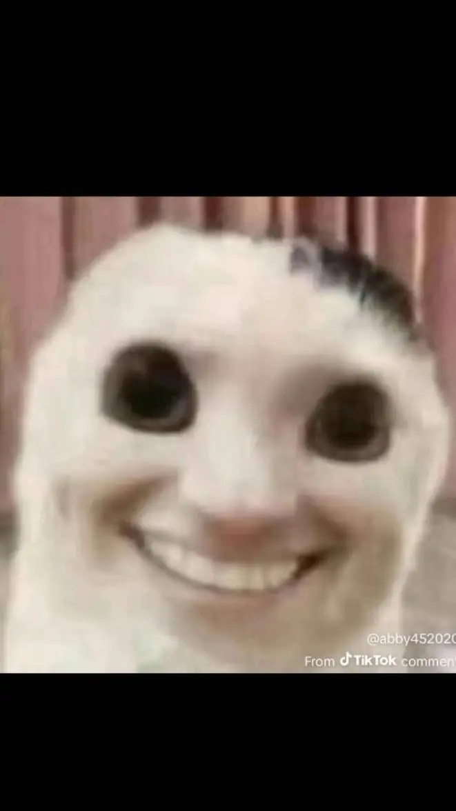 ai character: dyle timesly background