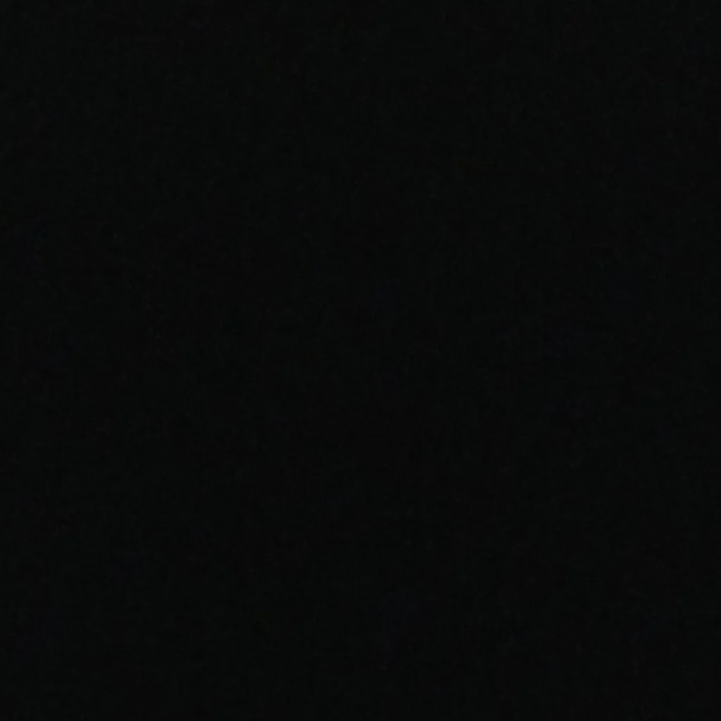 chat with ai character: SCPwithnocreatures