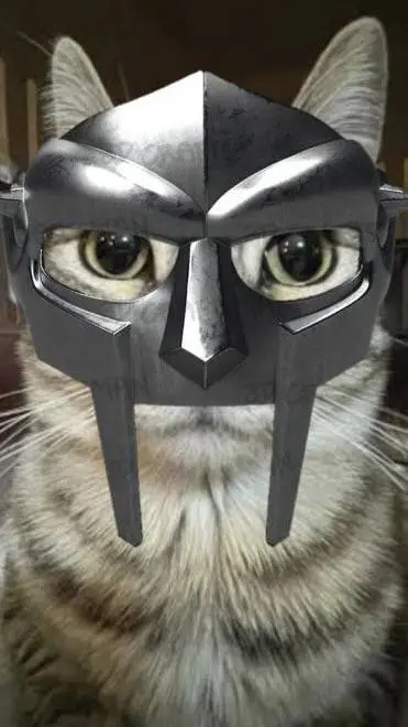 ai character: MF DOOM  background