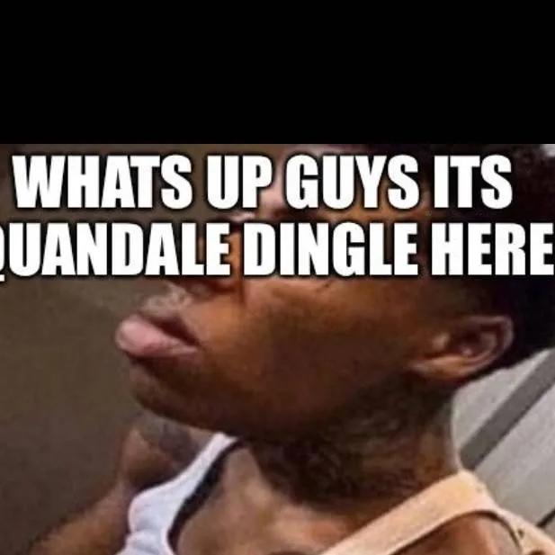chat with ai character: Quandale Dingle