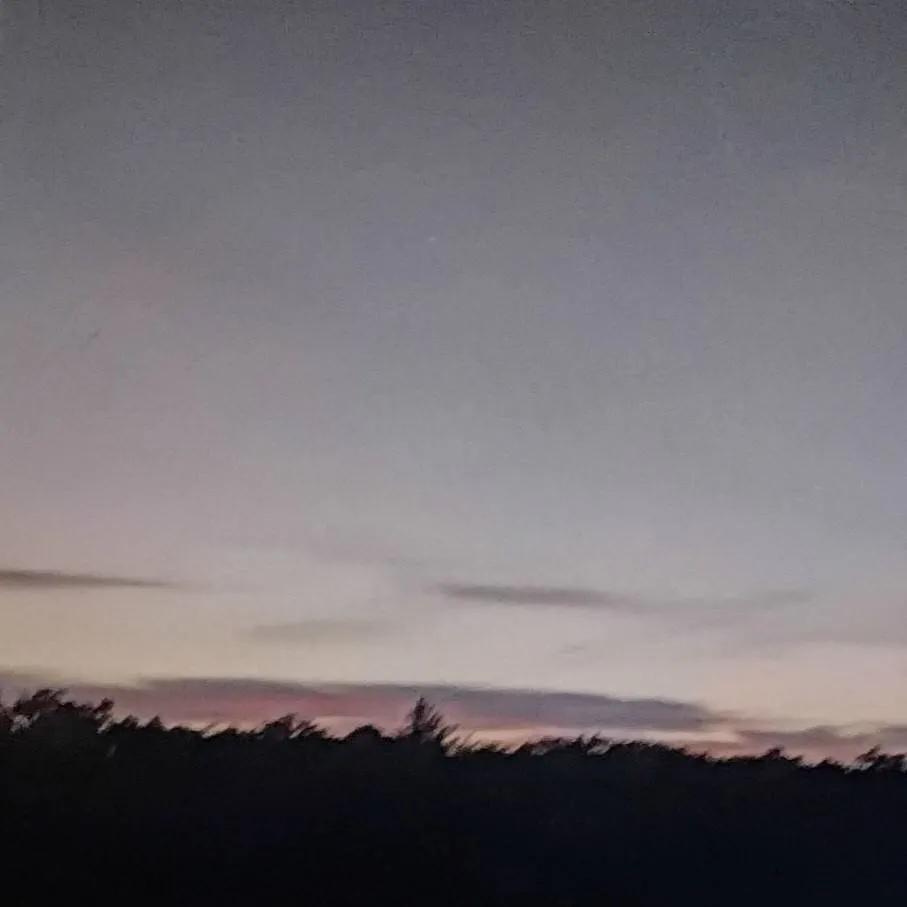 chat with ai character: ✨️Harry Potter✨️