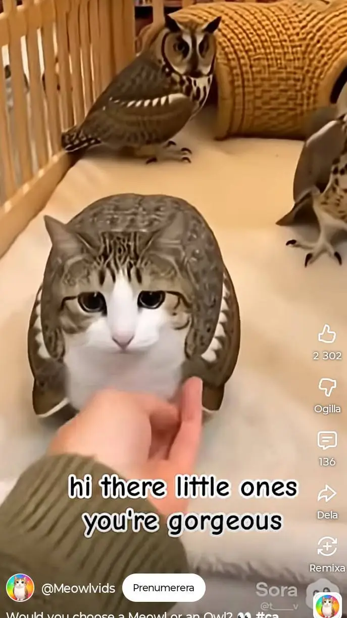 ai character: meowl background