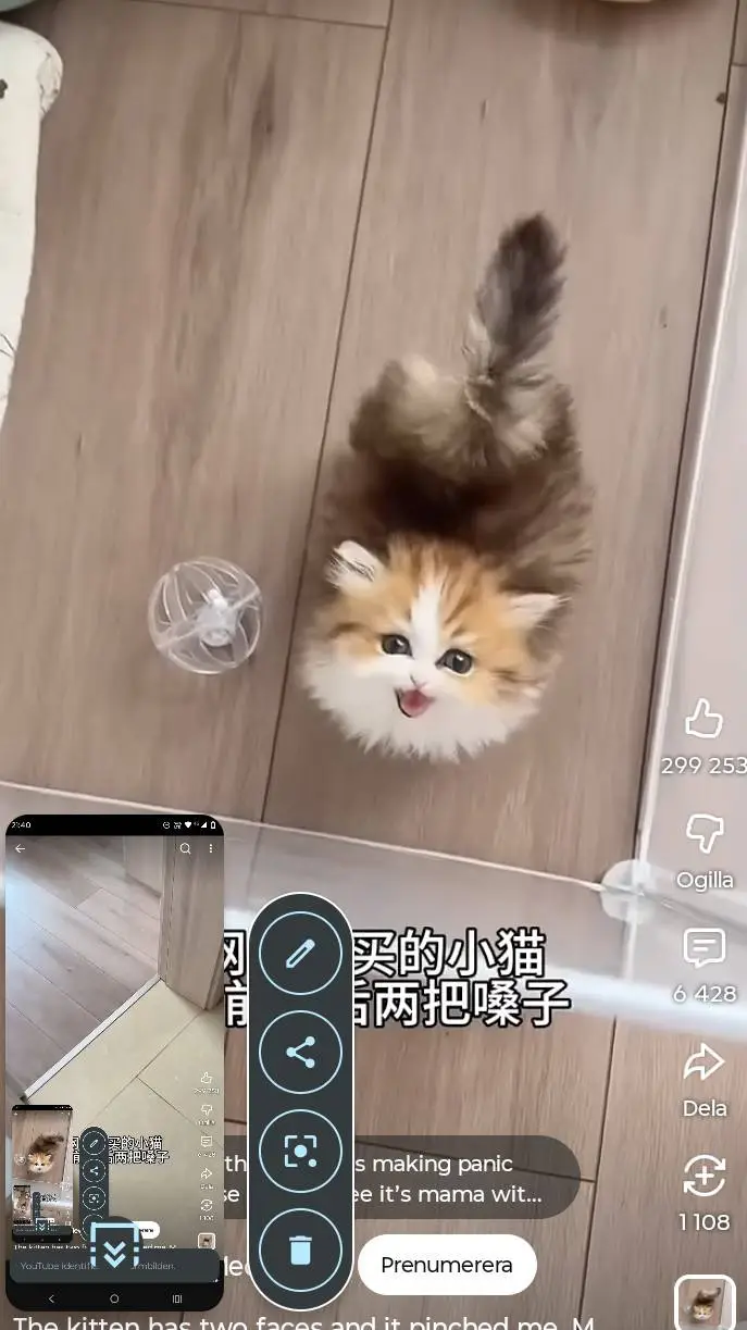 ai character: kitty background