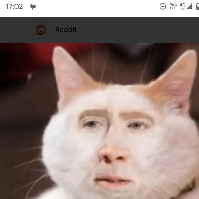 chat with ai character: cat 