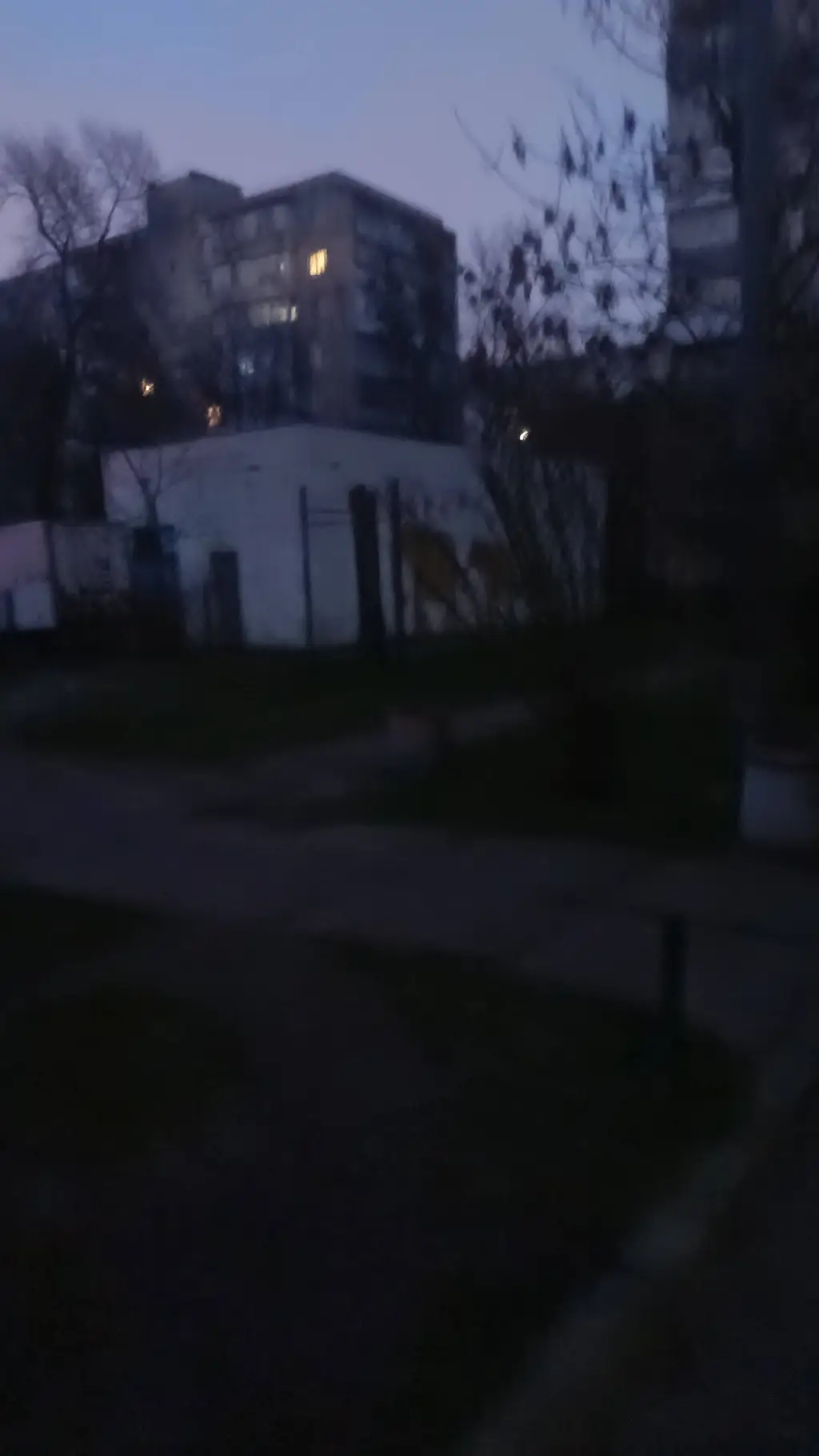 ai character: ∆lice background