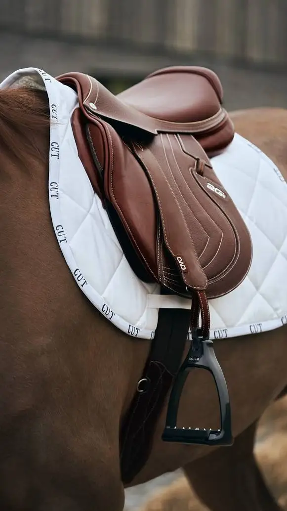 Talkie AI - Chat with ~°Horse Camp°~