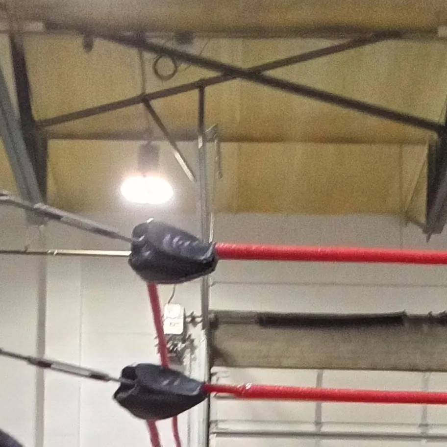 chat with ai character: wwa tlc match