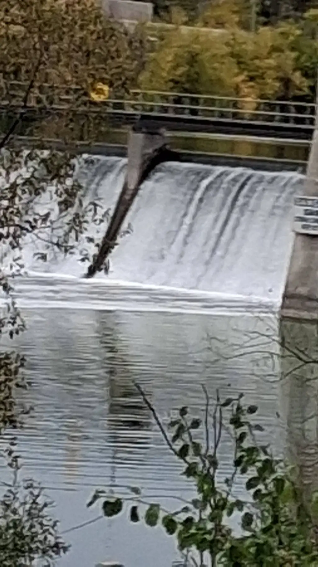 ai character: Nathan  background