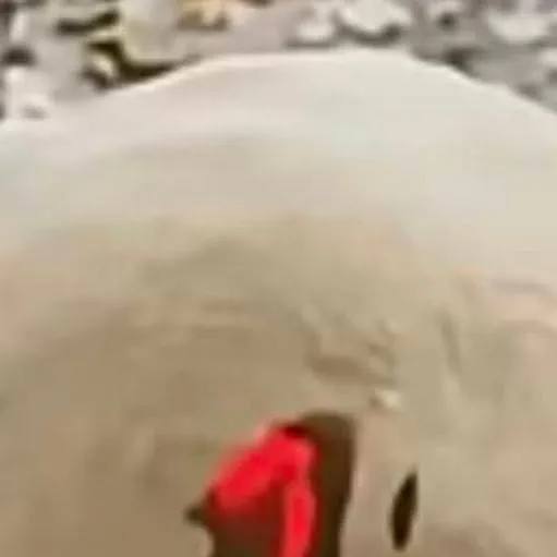 chat with ai character: Forsaken 