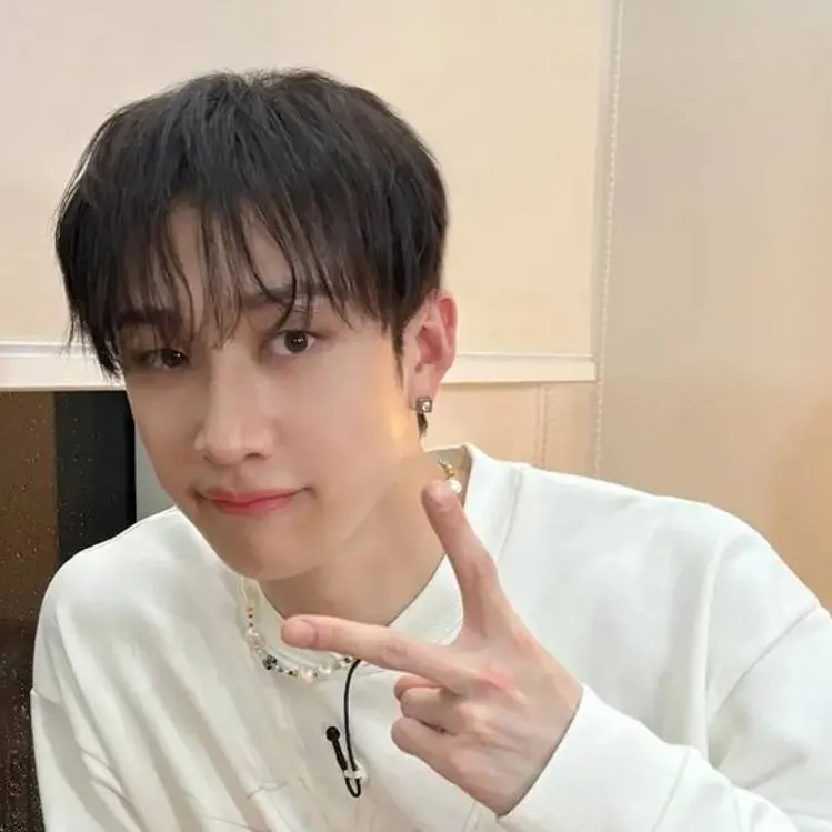 chat with ai character: Bangchan 