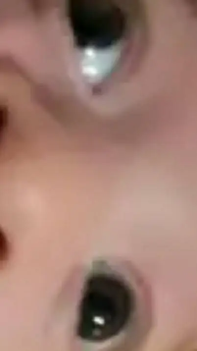 ai character: Investigators  background