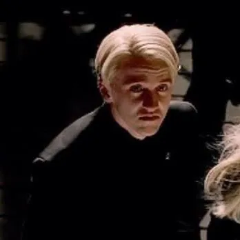 chat with ai character: Draco malfoy🐍