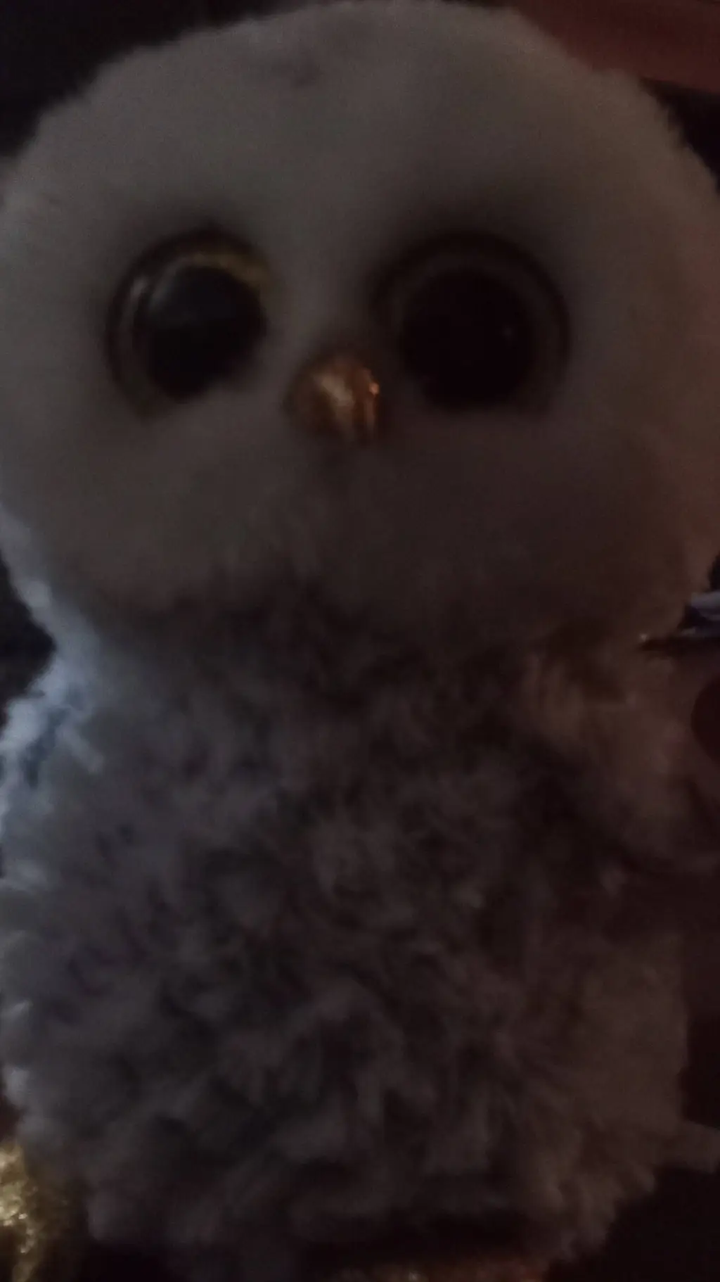 ai character: Charollete background