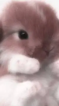 ai character: Mafioso | FORSAKEN background