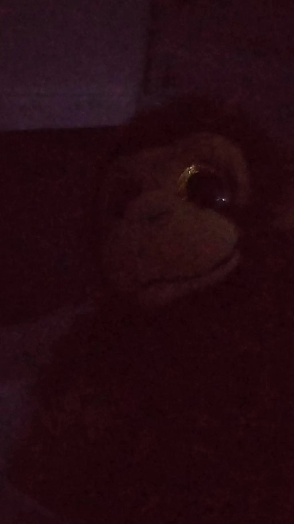 ai character: Monkey friend  background