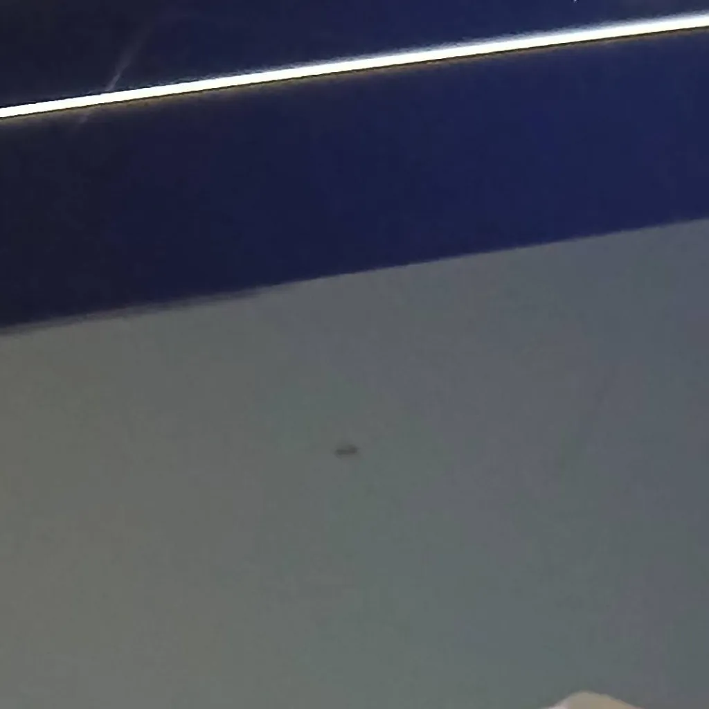 chat with ai character: ძᥲᥒძᥡs ᥕ᥆rᥣძ