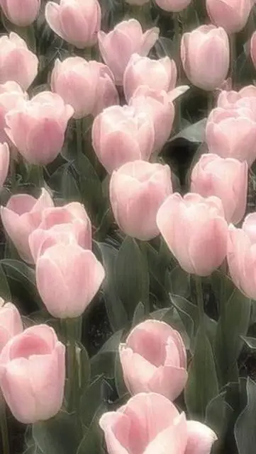 Talkie AI - Chat with Mathias y Heidi?..