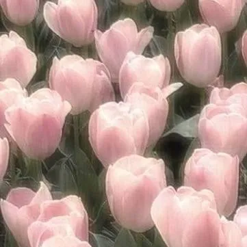 chat with ai character: Mathias y Heidi?..