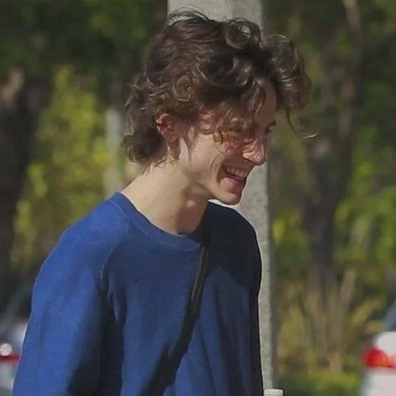 chat with ai character: Timothée Chalamet