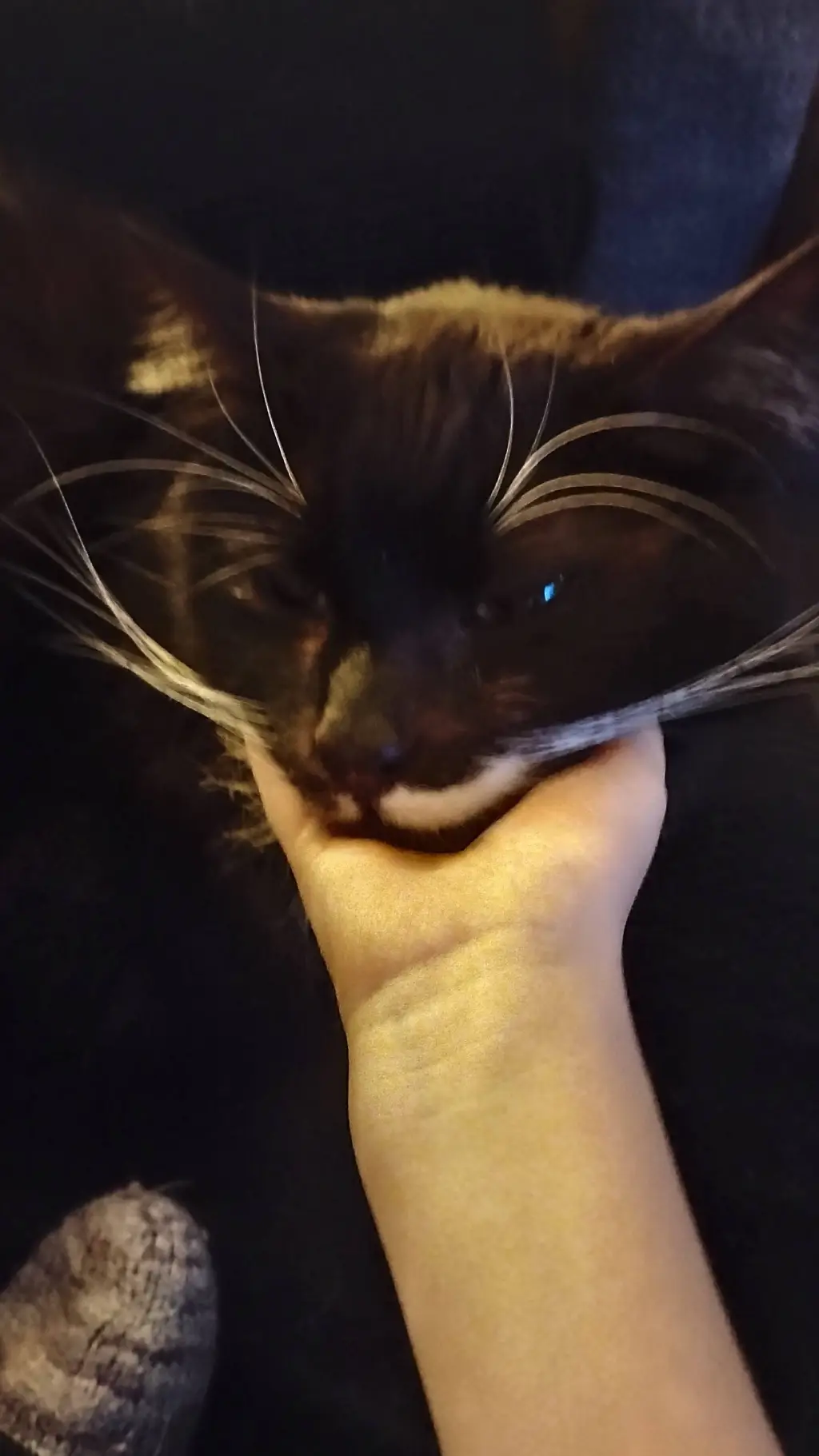 ai character: fFFFF background