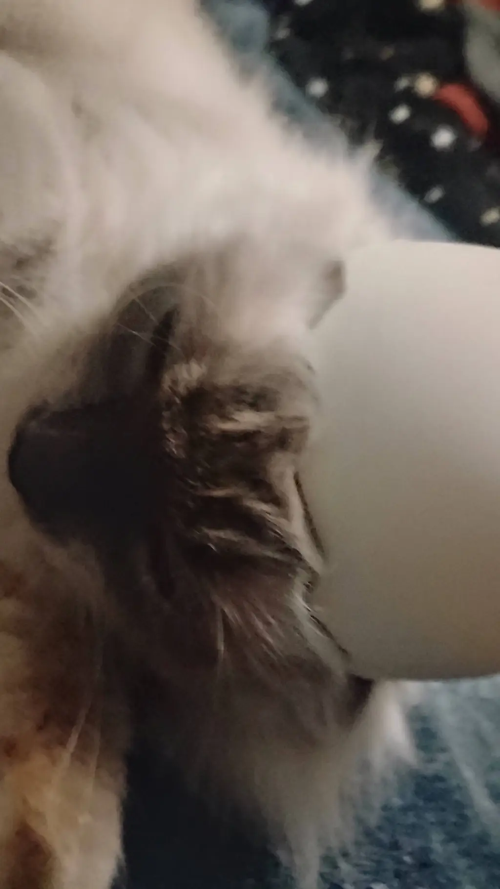 ai character: Luca background