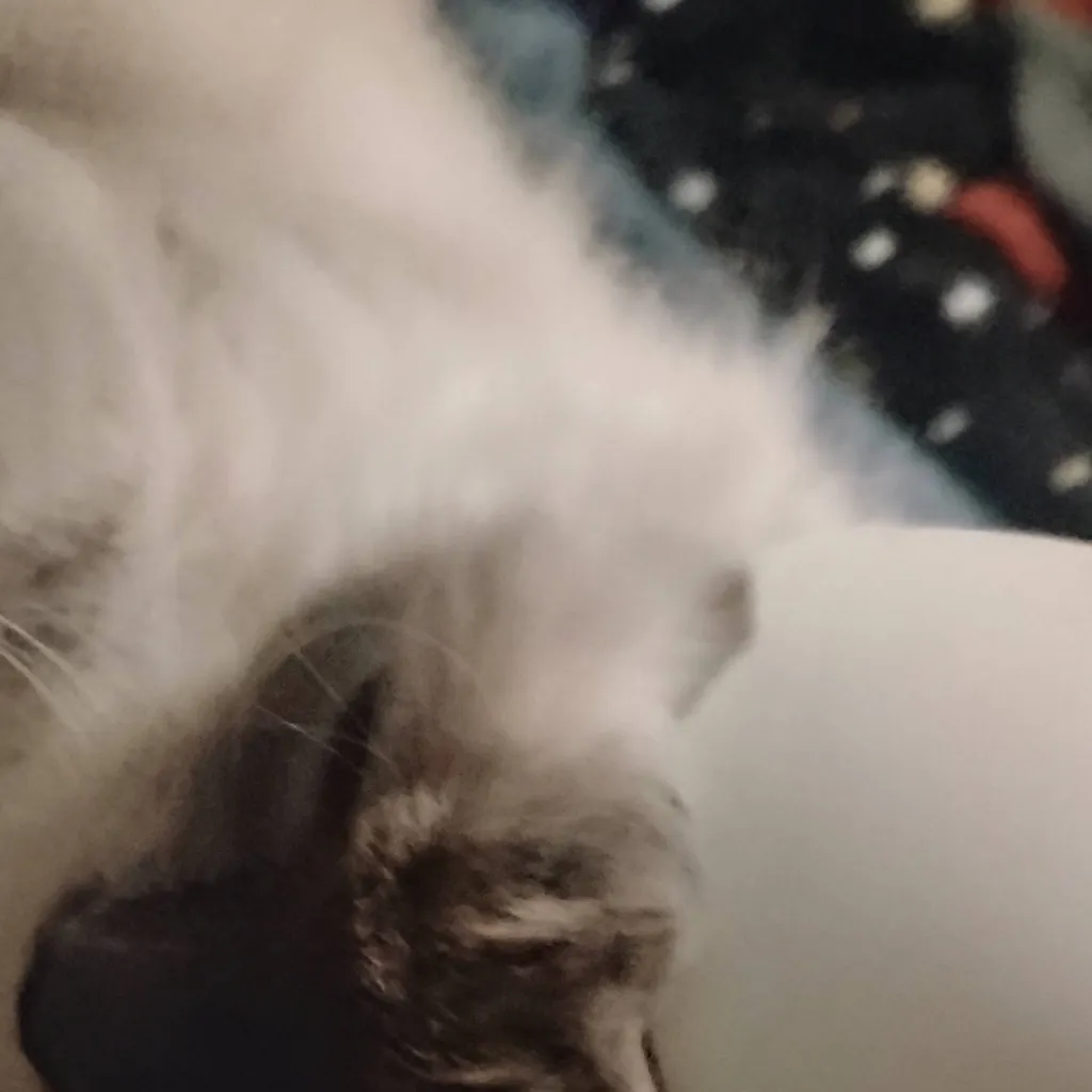 chat with ai character: Luca