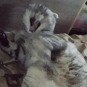 chat with ai character: Forsaken pick me