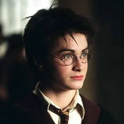 chat with ai character: Harry Potter