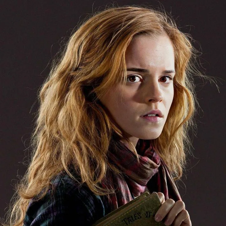 chat with ai character: Hermione Granger 