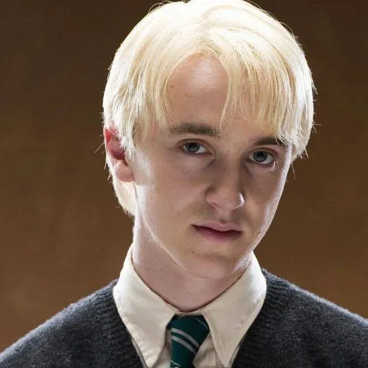 chat with ai character: Draco Malefoy 