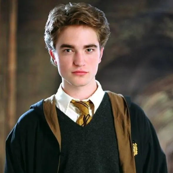 chat with ai character: Cédric Diggory