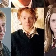 chat with ai character: Famille Weasley 
