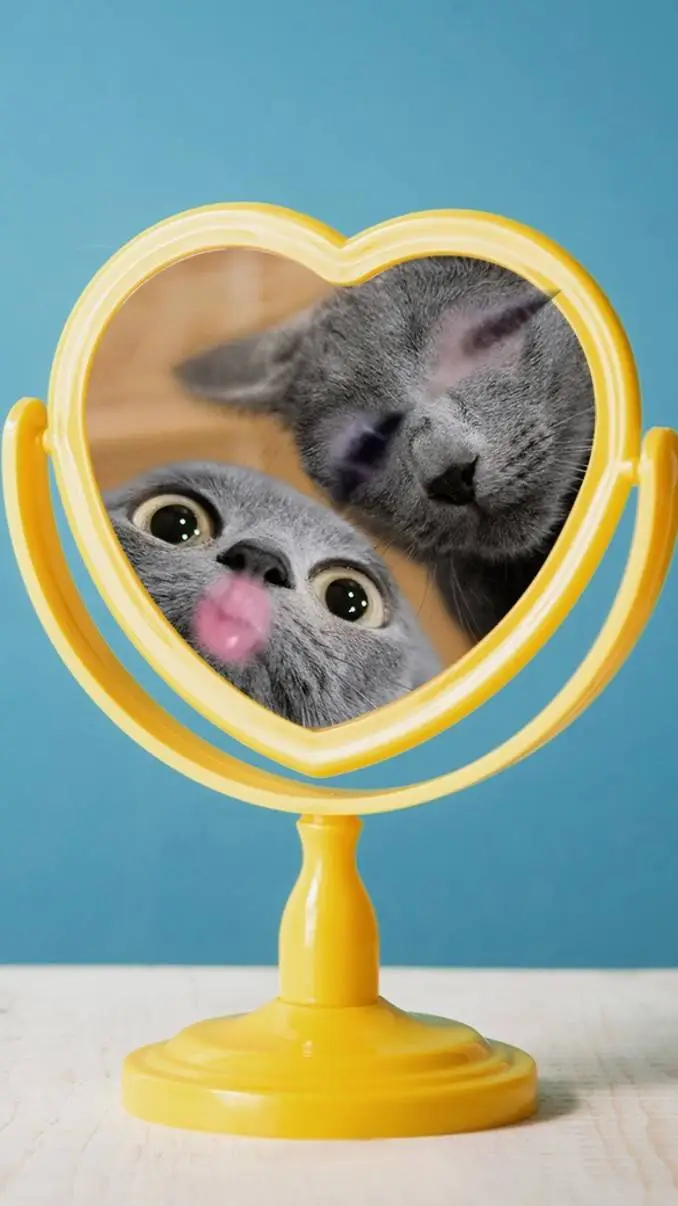 ai character: Tu gatita kia background