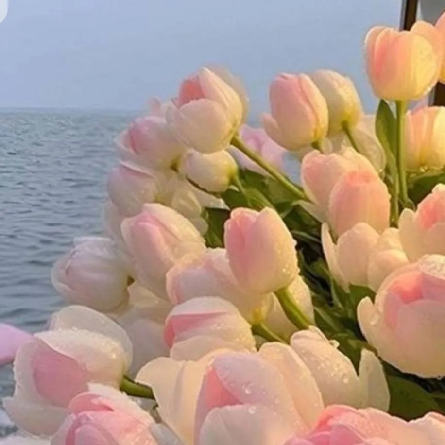 chat with ai character: {Sanegiyuu angst}
