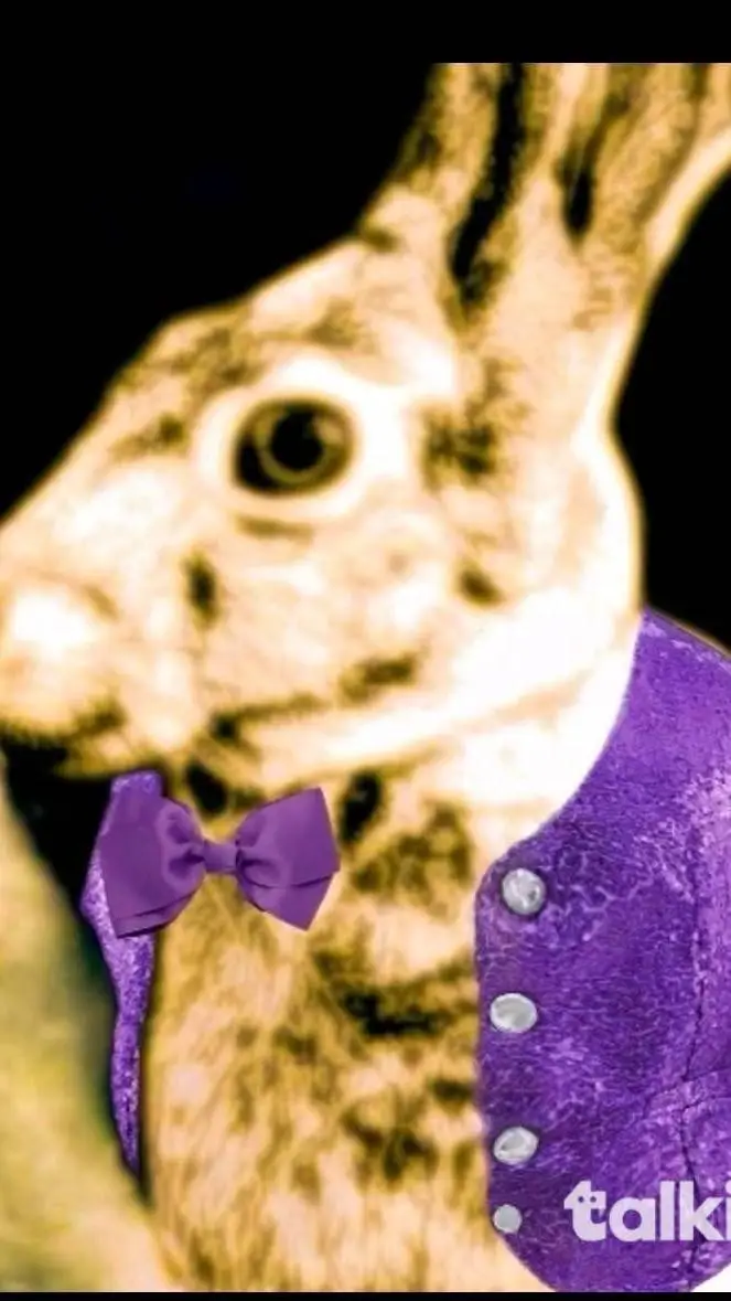 ai character: I'm in your walls. background