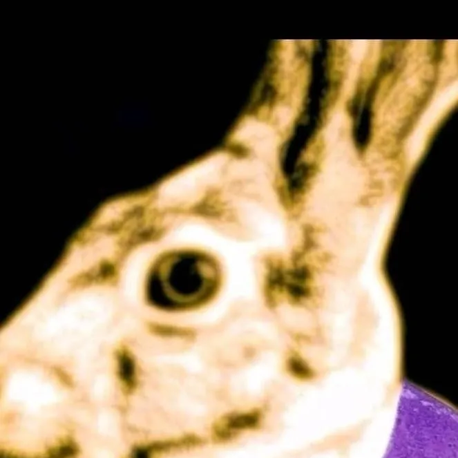 chat with ai character: I'm in your walls.