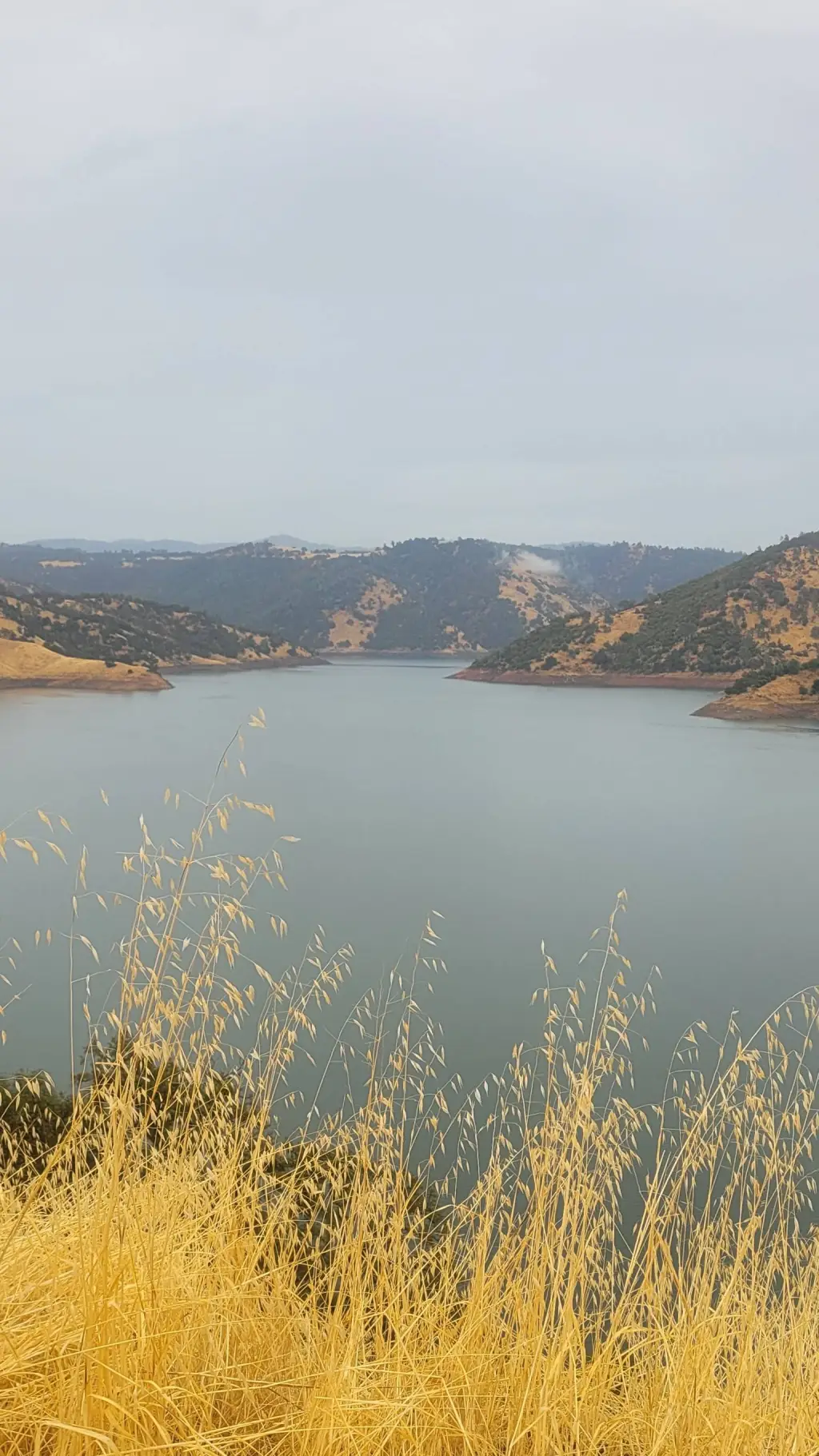 ai character: pressure background