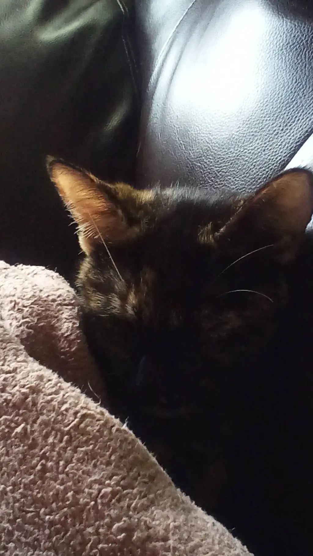 ai character: Scruffy  background