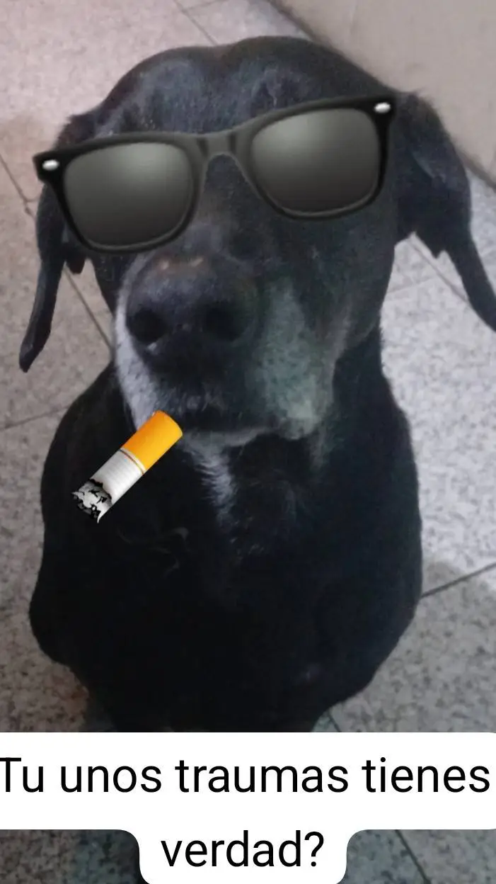 ai character: perro chingon yo background