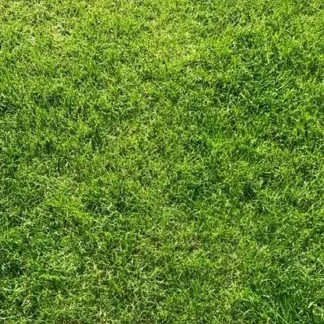 chat with ai character: Grass
