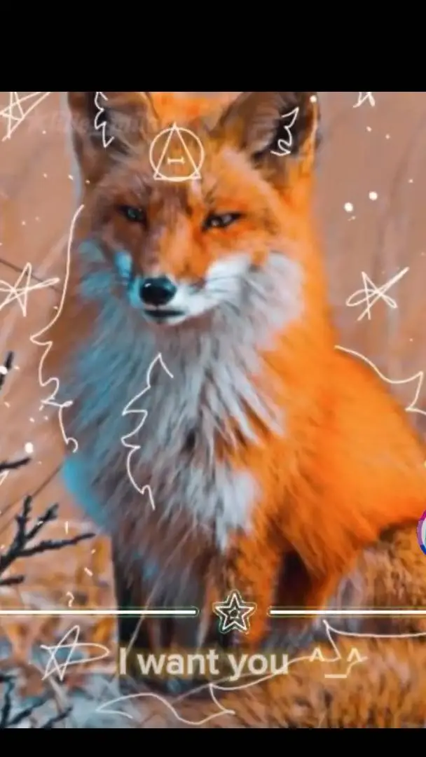 ai character: Mha Therian 🦊✨❤️🐾🌀 background