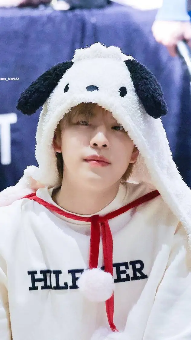 ai character: 🐶SEUNGMIN🐶 background